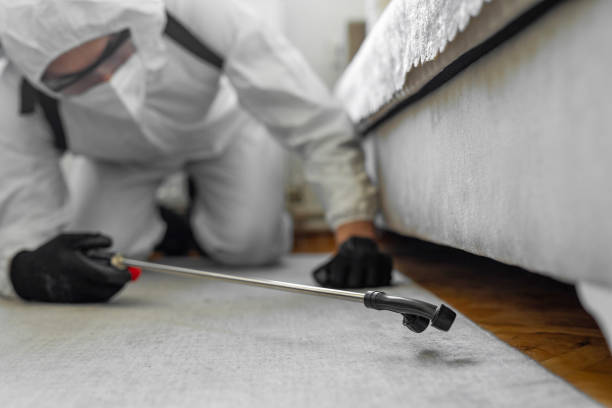 Professional Bed Bug Control technician working in Wetzel County County, WV